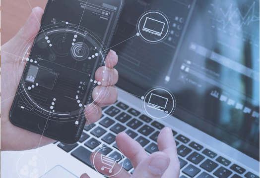 web development services